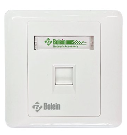 1 PORT FACEPLATE WITH COVER BOLEIN