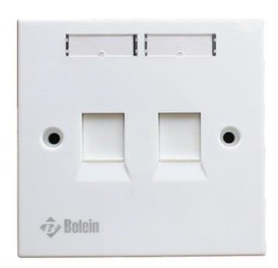2 PORT FACEPLATE BOLEIN