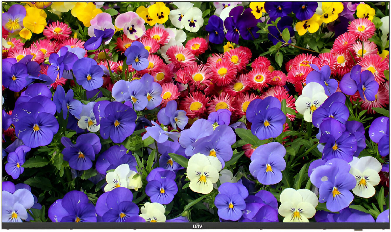 55'' UHD(4K) LED SV Monitor with Remote Control